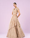 Mohey Women Exquisite Fawn Net Semi Bridal Lehenga
