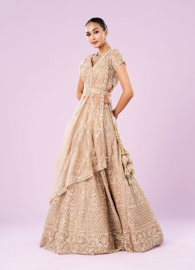 Mohey Women Exquisite Fawn Net Semi Bridal Lehenga