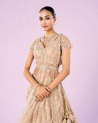 Mohey Women Exquisite Fawn Net Semi Bridal Lehenga