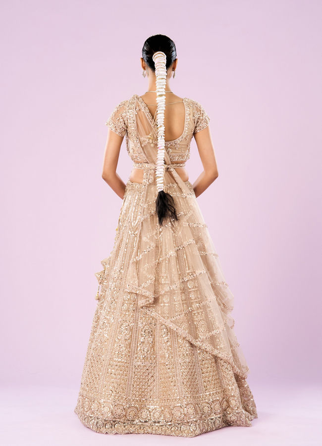 Mohey Women Exquisite Fawn Net Semi Bridal Lehenga