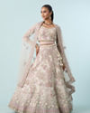 Cream Elegance Net Bridal Lehenga