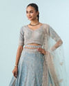 Mohey Women Light Blue Tissue Lehenga