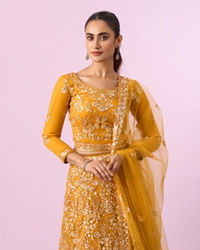 Mohey Women Mustard Yellow Radiance Net Lehenga