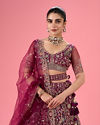 Mohey Women Wine Mystic Lehenga