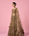 Mohey Women Fawn Net Bridal Lehenga with Sequin Work