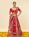 Rani Pink Embellished Lehenga image number 0