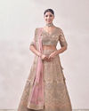 Fawn Sequined Embroidered Bridal Lehenga image number 0