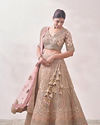 Fawn Sequined Embroidered Bridal Lehenga image number 2