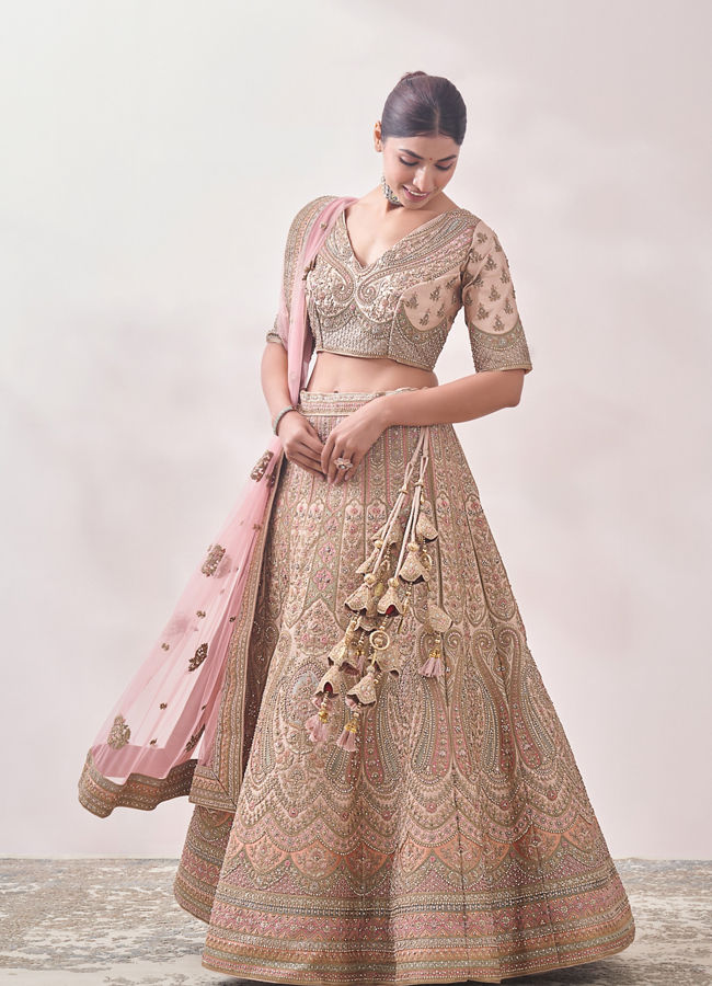 Fawn Sequined Embroidered Bridal Lehenga image number 2