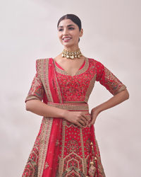 Mohey Women Ruby Red Imperial Patterned Bridal Lehenga