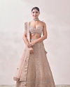 Golden Fawn Lattice Patterned Mirrored Bridal Lehenga image number 0