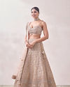 Mohey Women Golden Fawn Lattice Patterned Mirrored Bridal Lehenga