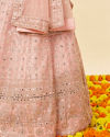 Mohey Women Rose Pink Mirror Work Lehenga