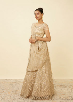 Manyavar hotsell ladies gown