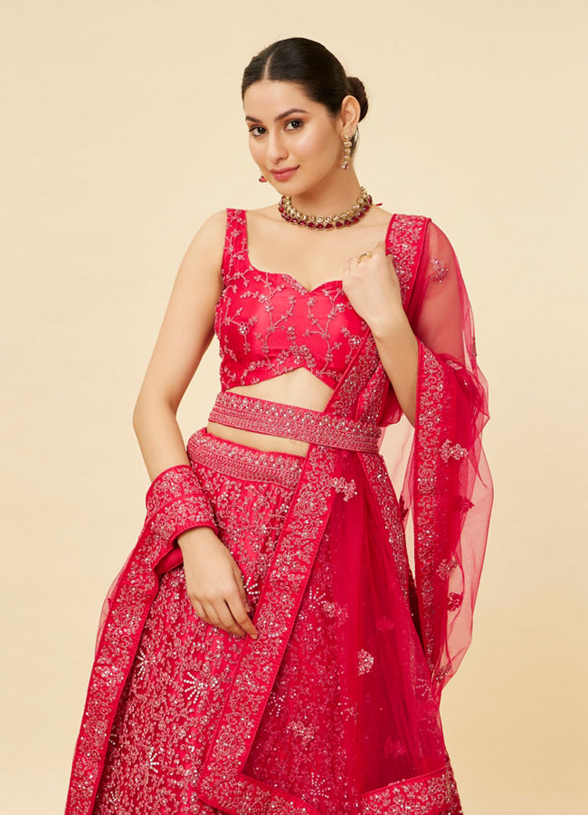 Rani Pink Bel Buti Embroidered and Sequined Lehenga image number 1