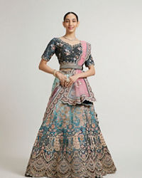 Mohey Women Teal Blue Aari Embroidered Lehenga with Imperial, Floral and Peacock Motifs