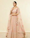 Mohey Women Light Pink Imperial Paisley Patterned Bridal Lehenga