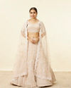 alt message - Mohey Women Peach Fuzz Sequin and Bead Work Lehenga image number 0