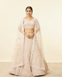 Mohey Women Peach Fuzz Sequin and Bead Work Bridal Lehenga