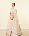 Mohey Women Peach Fuzz Sequin and Bead Work Bridal Lehenga