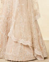 Mohey Women Peach Fuzz Sequin and Bead Work Bridal Lehenga