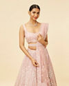 Mohey Women Blush Pink Rhinestone and Sitara Embroidered Bridal Lehenga