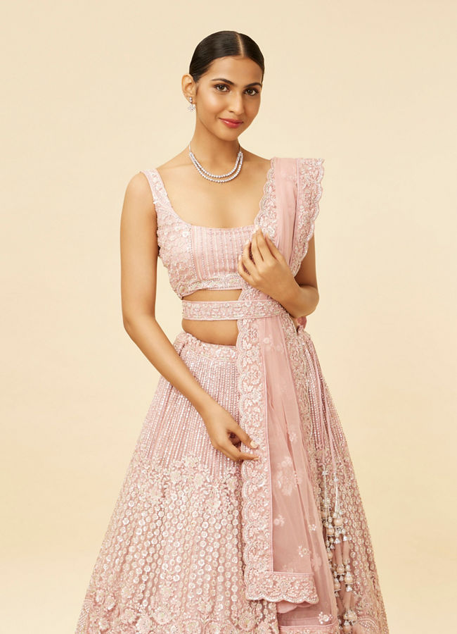 Blush Pink Rhinestone and Sitara Embroidered Bridal Lehenga image number 1