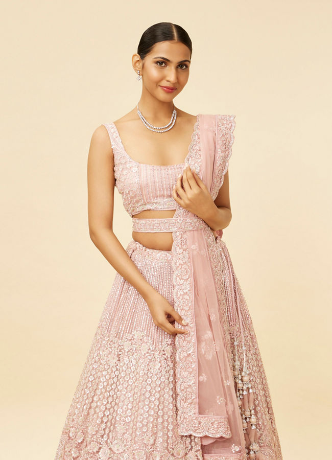 Buy Blush Pink Rhinestone and Sitara Embroidered Bridal Lehenga Online