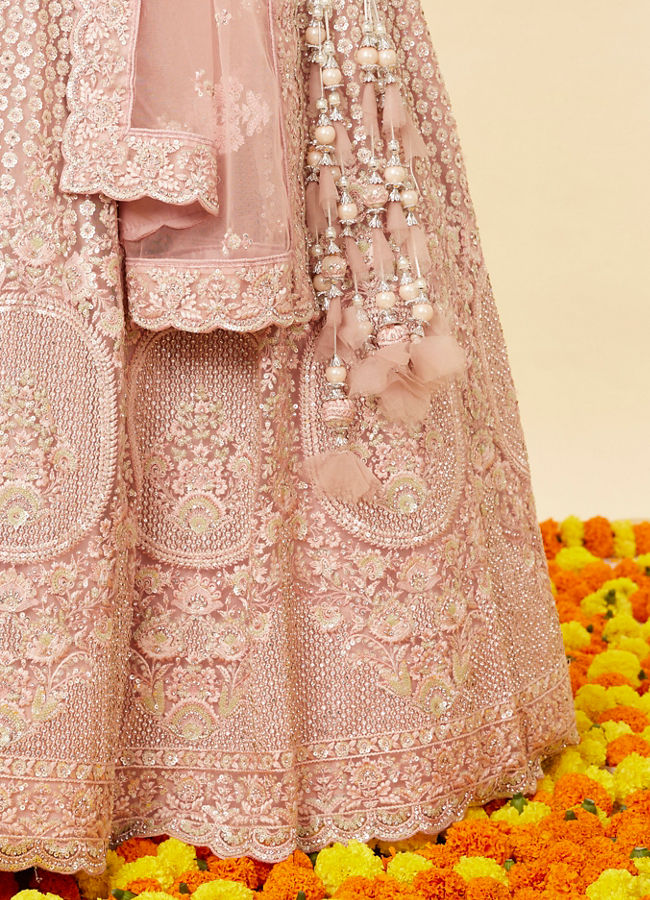 Mohey Women Blush Pink Rhinestone and Sitara Embroidered Bridal Lehenga