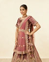 Mohey Women Deep Mahogany Brown Aari Embroidered Bridal Lehenga