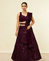 alt message - Mohey Women Wine Chevron Bel Buti Patterned Sequinned Lehenga image number 0