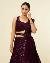 Mohey Women Wine Chevron Bel Buti Patterned Sequinned Lehenga