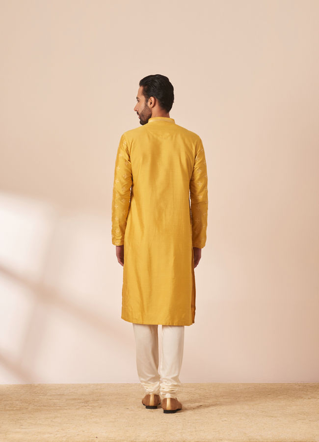 alt message - Manyavar Men Yolk Yellow Self Design Kurta Pajama image number 4